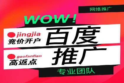 百度竞价推广公司经典案例研究：广告效果最大化策略